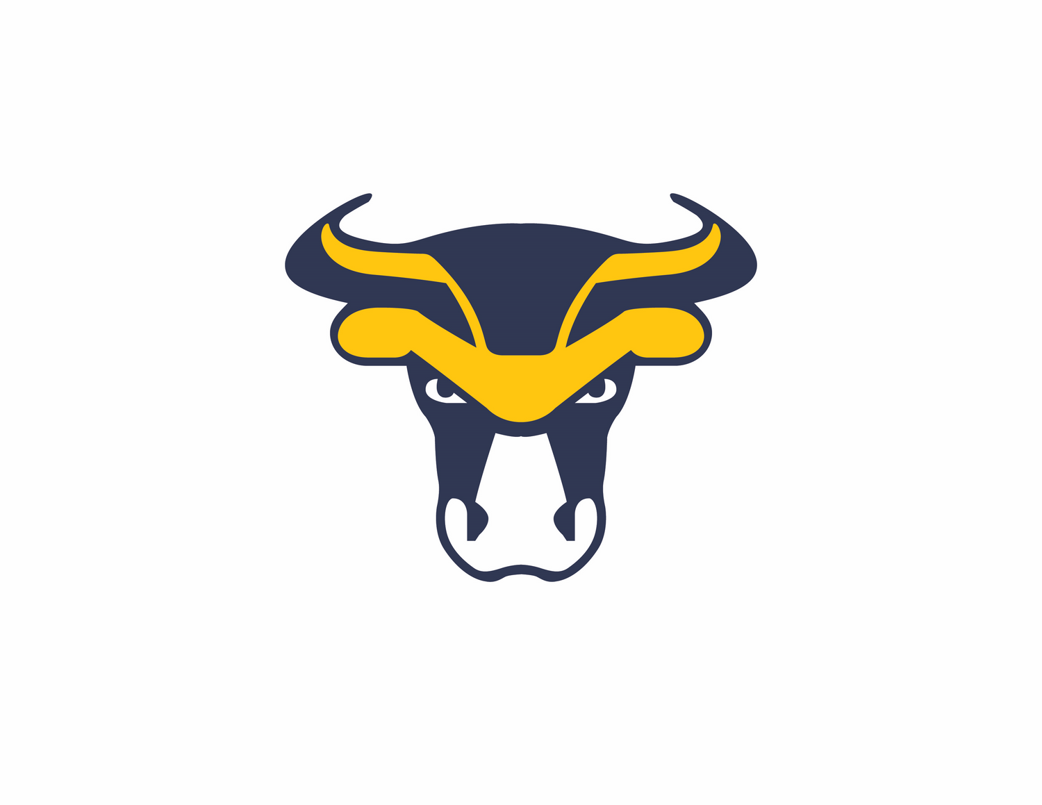 Bulls