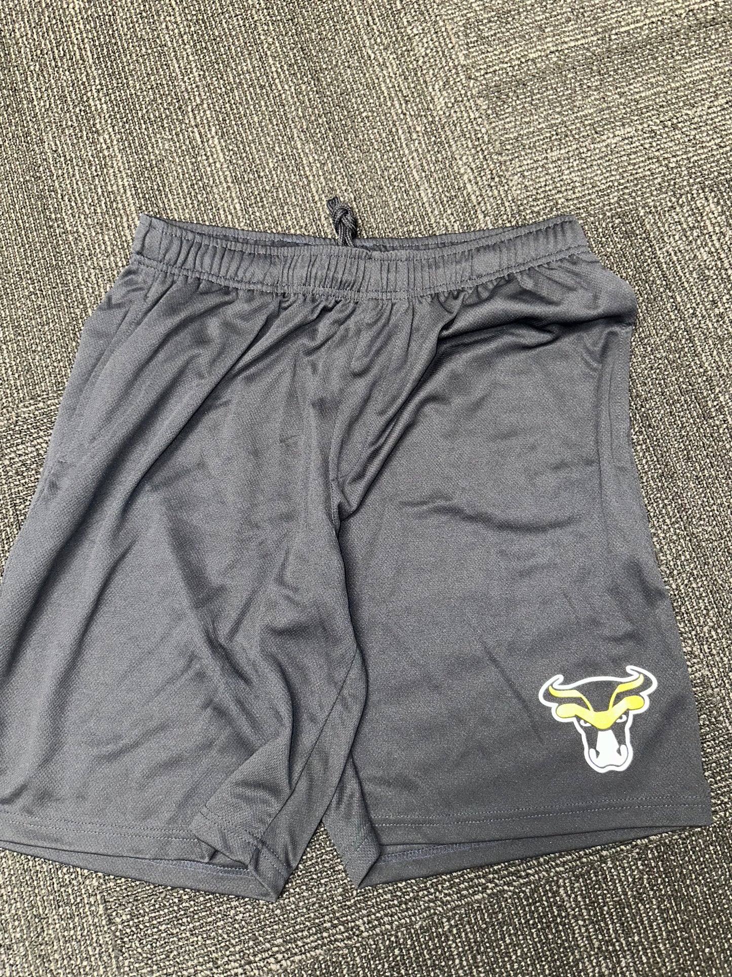 Bulls Training Shorts
