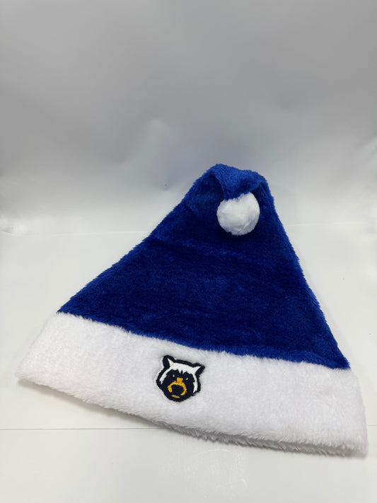 Bears Santa Hats (SMALL-MEDIUM ONLY)